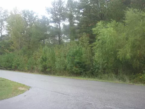 3300 Overhead Ct, Willow Springs, NC 27526 photo 1