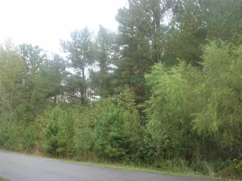 3300 Overhead Ct, Willow Springs, NC 27526 photo 3
