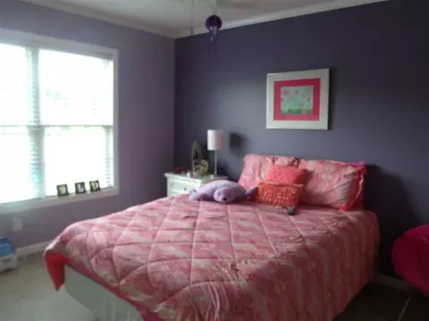 1009 Warren Rd, Erwin, NC 28339 photo 17