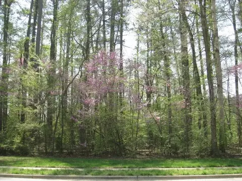 4 Shadow Moss Pl, Durham, NC 27705 photo 1