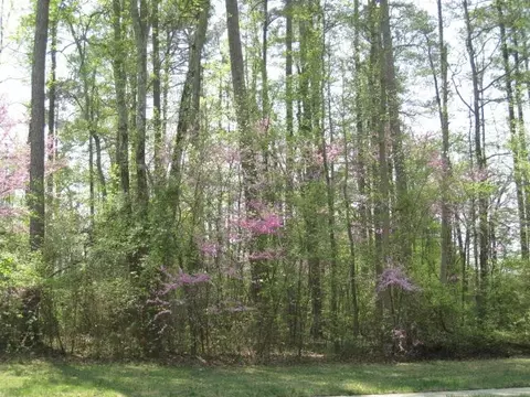 4 Shadow Moss Pl, Durham, NC 27705 photo 2