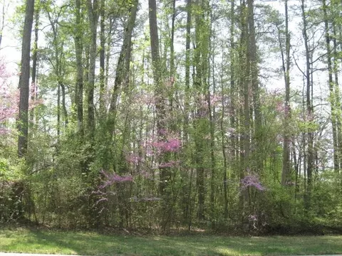 4 Shadow Moss Pl, Durham, NC 27705 photo 3