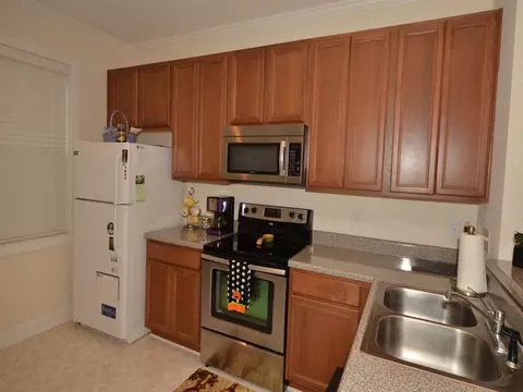 108 Litton St, Apex, NC 27502 photo 8