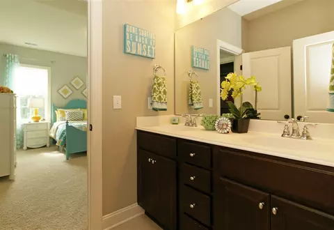 229 Springtime Fields Ln, Wake Forest, NC 27587 photo 20