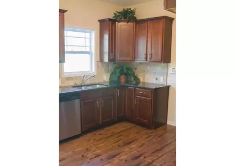 515 Spring Flowers Dr, Cameron, NC 28326 photo 5