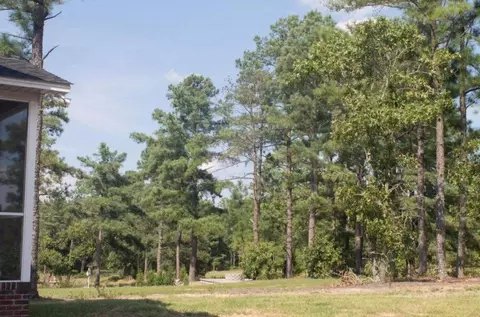 515 Spring Flowers Dr, Cameron, NC 28326 photo 3