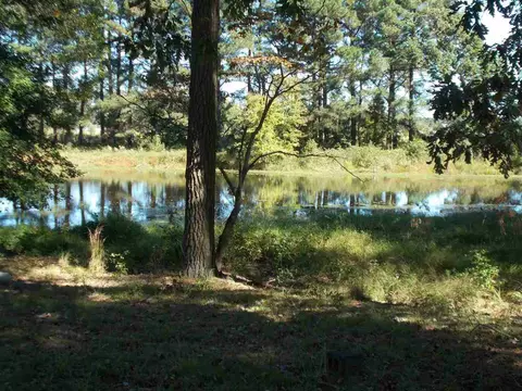 2676 Brogden Rd, Smithfield, NC 27577 photo 14