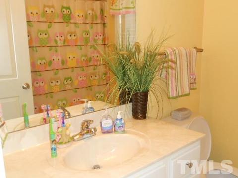 10 Long Grass Dr, Smithfield, NC 27577 photo 14