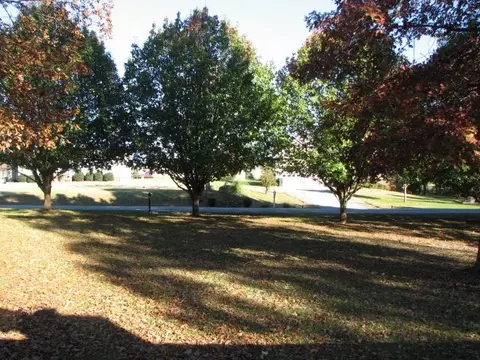 347 Gates Run, Timberlake, NC 27583 photo 6