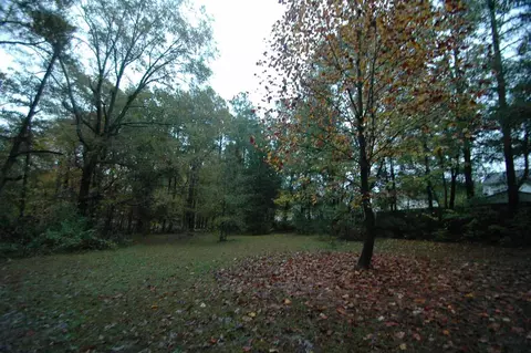 416 Obie Dr, Durham, NC 27713 photo 22