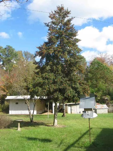 821 Old Sanford Rd, Moncure, NC 27559 photo 9