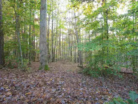 609 Morningside Dr, Durham, NC 27713 photo 23