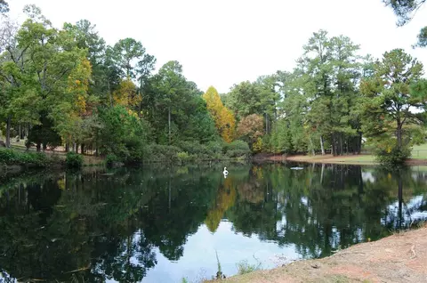 80 Scotts Pine Cir, Wake Forest, NC 27587 photo 25