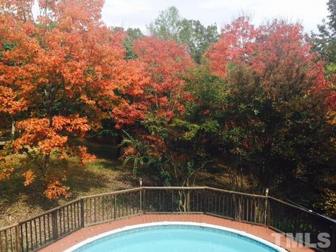 1009 Wolf Laurel Ct, Rougemont, NC 27572 photo 6