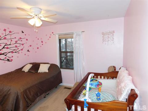 1009 Wolf Laurel Ct, Rougemont, NC 27572 photo 14