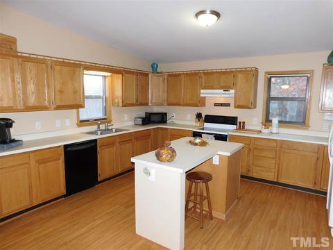 1009 Wolf Laurel Ct, Rougemont, NC 27572 photo 3