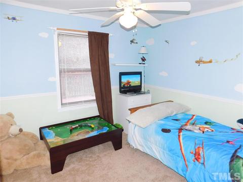 1009 Wolf Laurel Ct, Rougemont, NC 27572 photo 12