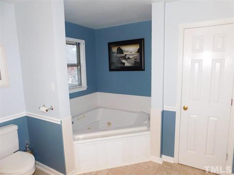 1009 Wolf Laurel Ct, Rougemont, NC 27572 photo 11