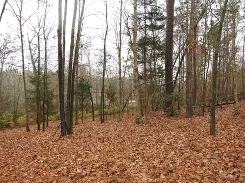 5613 Pine Rock Ct, Wake Forest, NC 27587 photo 10
