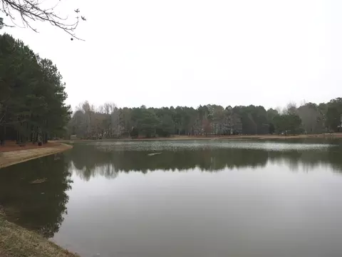 5613 Pine Rock Ct, Wake Forest, NC 27587 photo 5