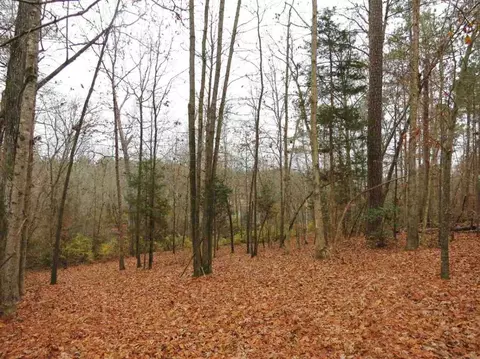5613 Pine Rock Ct, Wake Forest, NC 27587 photo 11