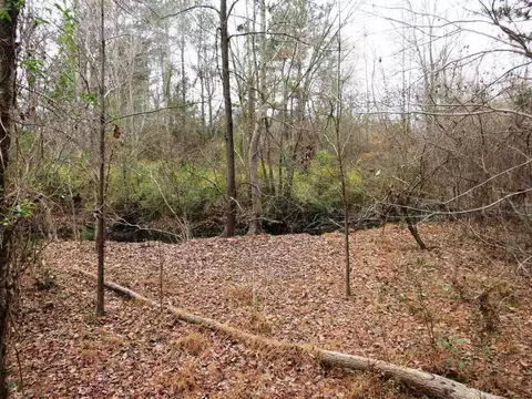 5613 Pine Rock Ct, Wake Forest, NC 27587 photo 15