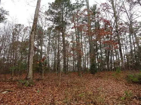 5613 Pine Rock Ct, Wake Forest, NC 27587 photo 12
