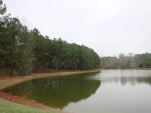 5613 Pine Rock Ct, Wake Forest, NC 27587 photo 6