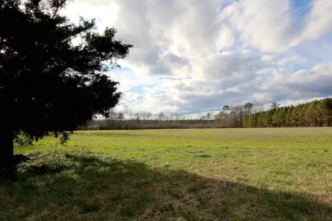 1075 Bluegrass Rd, Selma, NC 27576 photo 2