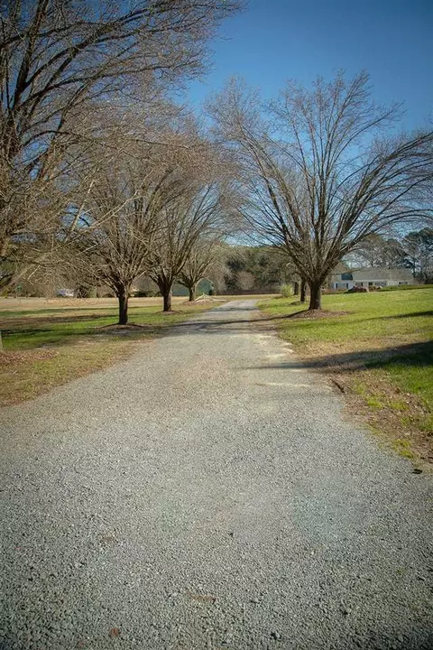205 William Dr, Benson, NC 27504 photo 3