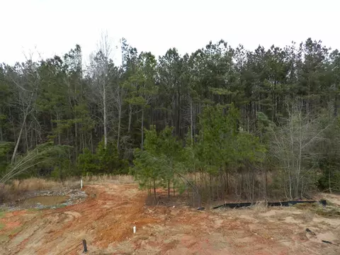 430 Fieldtrial Cir, Garner, NC 27529 photo 21