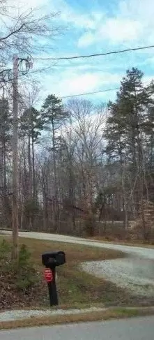 332 Bowen Rd, Rougemont, NC 27572 photo 3
