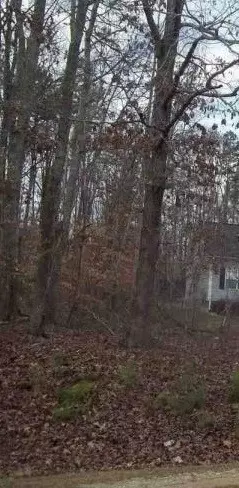 332 Bowen Rd, Rougemont, NC 27572 photo 2