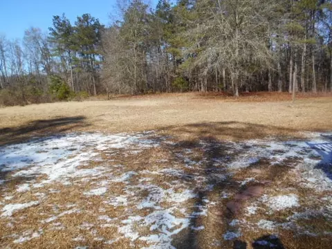 151 Buffkin Ln, Angier, NC 27501 photo 12