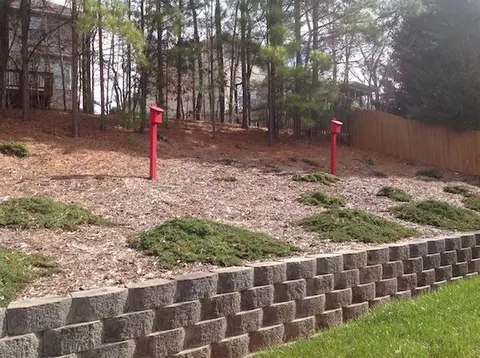 1423 Big Leaf Loop, Apex, NC 27502 photo 20