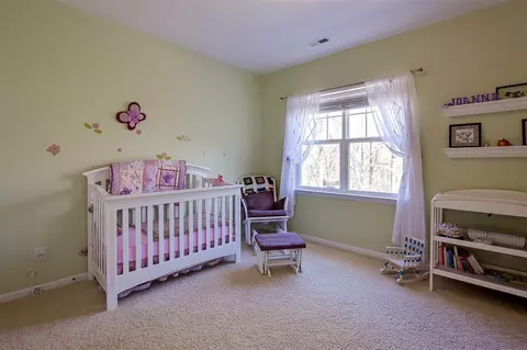 603 Lyon Tree Ln, Durham, NC 27713 photo 16