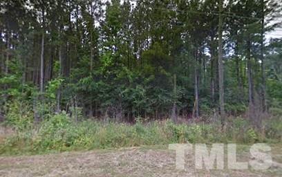 426 Scott King Rd, Durham, NC 27713 photo 1