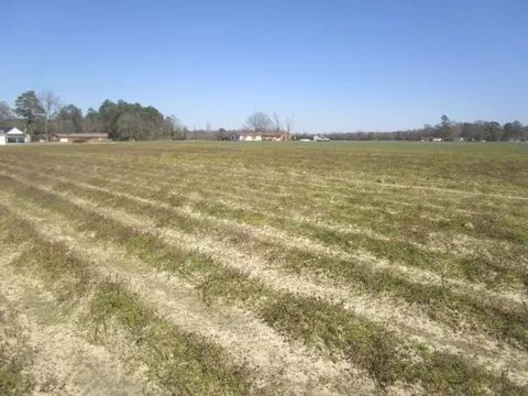 134 Seth Ln, Dunn, NC 28383 photo 3