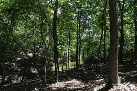2 Lakeside Ln, Durham, NC 27712 photo 24