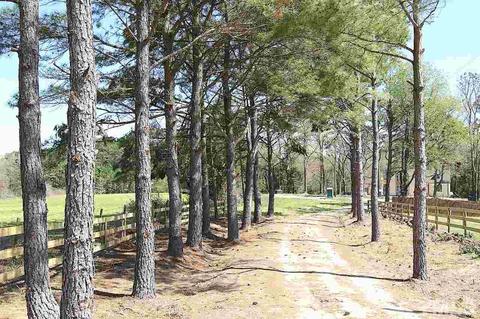 8255 Raleigh Rd, Benson, NC 27504 photo 2