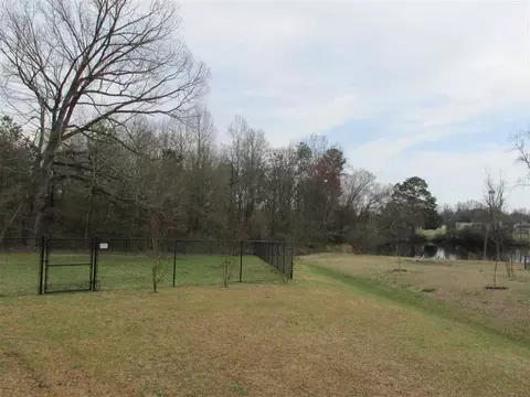 68 Ginko Ct, Willow Spring, NC 27592 photo 17