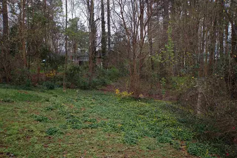 3306 Mesa Ct, Raleigh, NC 27607 photo 16
