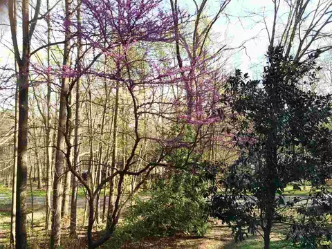 806 Prologue Rd, Durham, NC 27712 photo 14