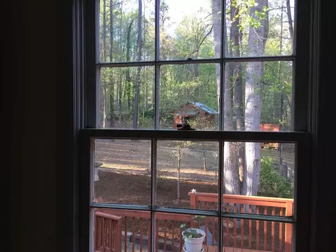 806 Prologue Rd, Durham, NC 27712 photo 7