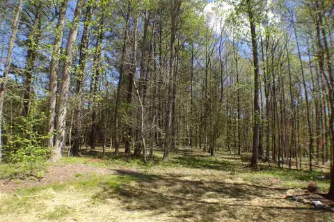 1304 Haltwhistle St, Wake Forest, NC 27587 photo 23