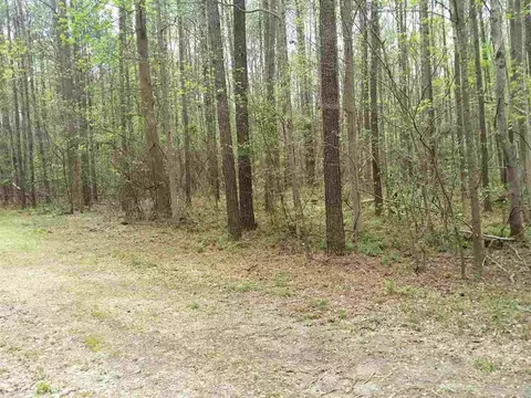 6409 Wimberly Rd, Willow Springs, NC 27592 photo 5