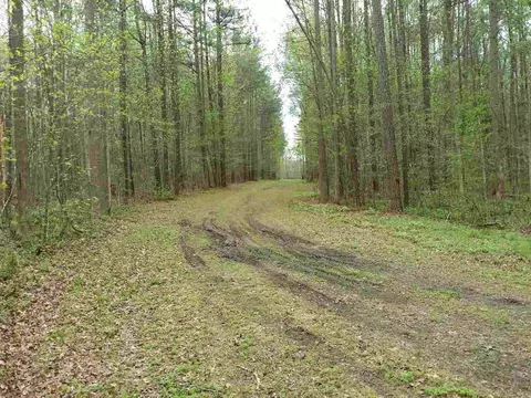 6409 Wimberly Rd, Willow Springs, NC 27592 photo 4
