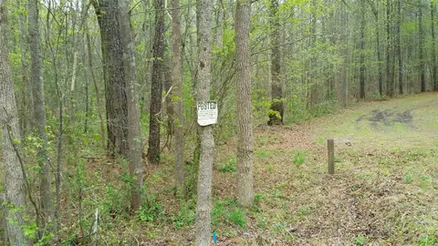 6409 Wimberly Rd, Willow Springs, NC 27592 photo 3