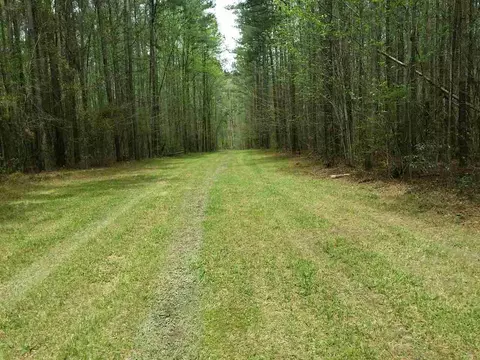 6409 Wimberly Rd, Willow Springs, NC 27592 photo 6