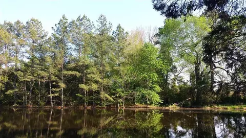 3093 Thollie Green Rd E, Stem, NC 27581 photo 3